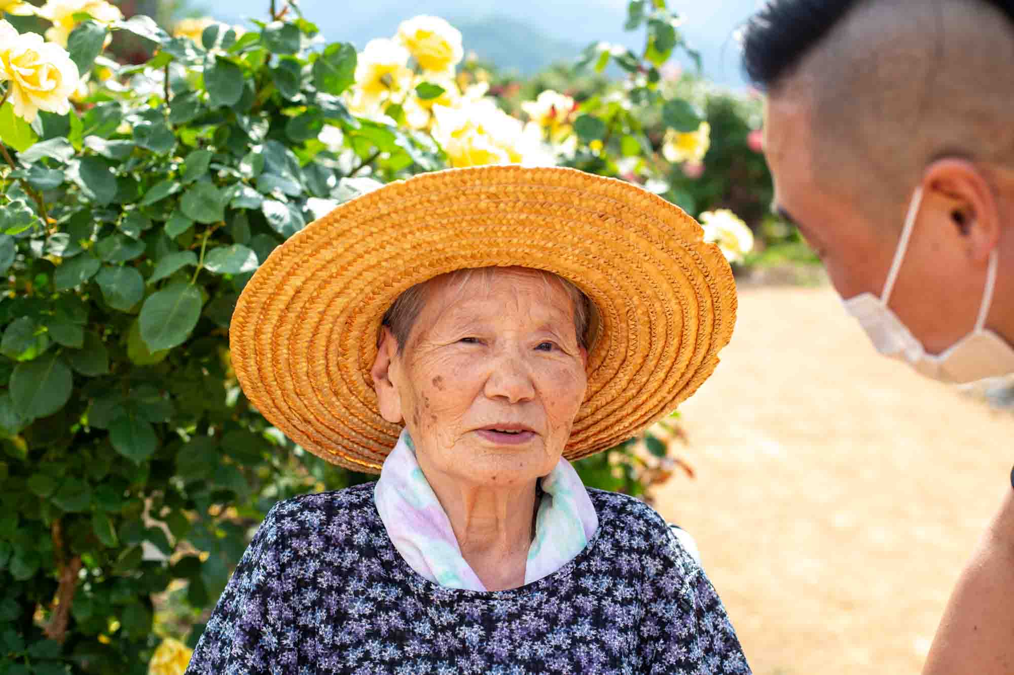 黄色のバラの前で介護職員と会話をしています