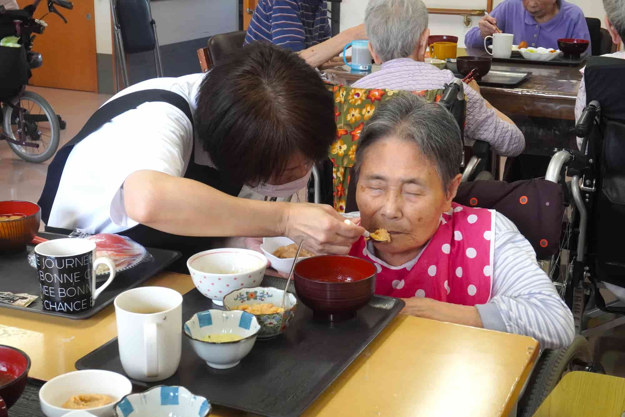お腹がいっぱいで、ついウトウト
