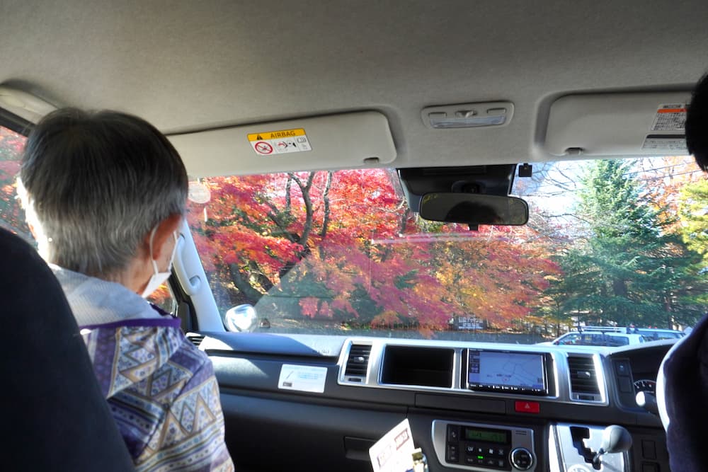 車窓から、赤や黄色に色づいた木々が広がります