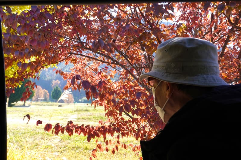 こちらの入居者さんは、思わず身を乗り出していました